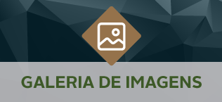 galeria-de-imagens.